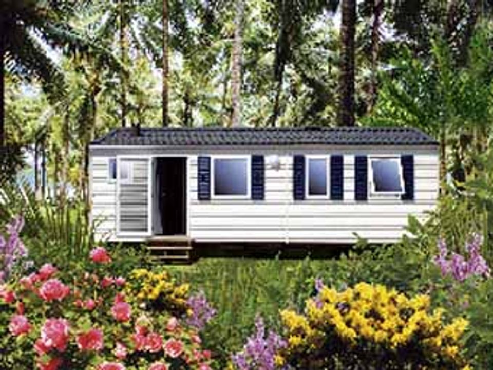 Le Saulou - Mobil home - Mobilhome 6 personnes - C LUXE