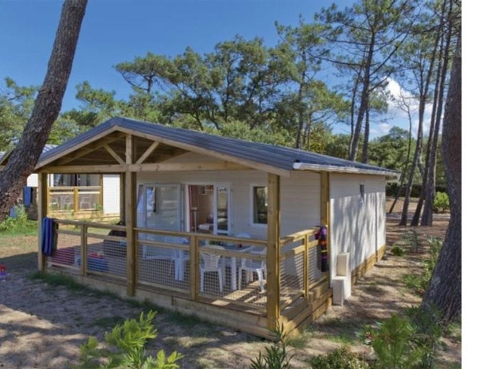 Château de la Forêt - Châlet - Chalet 6 personnes - Chalet | Comfort XL | 3 Ch. | 6 Pers.