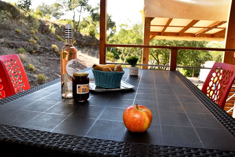 La Pierre Verte - Mobil home - Mobil home ZENITH