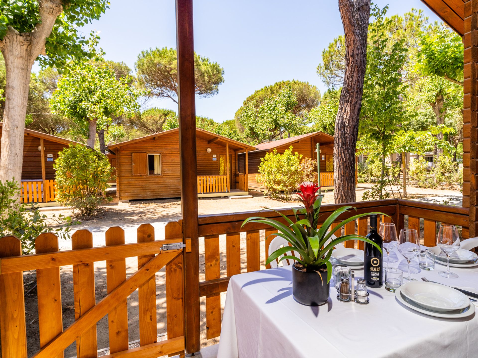 Paradiso Viareggio - Châlet - Châlet 5 pers.