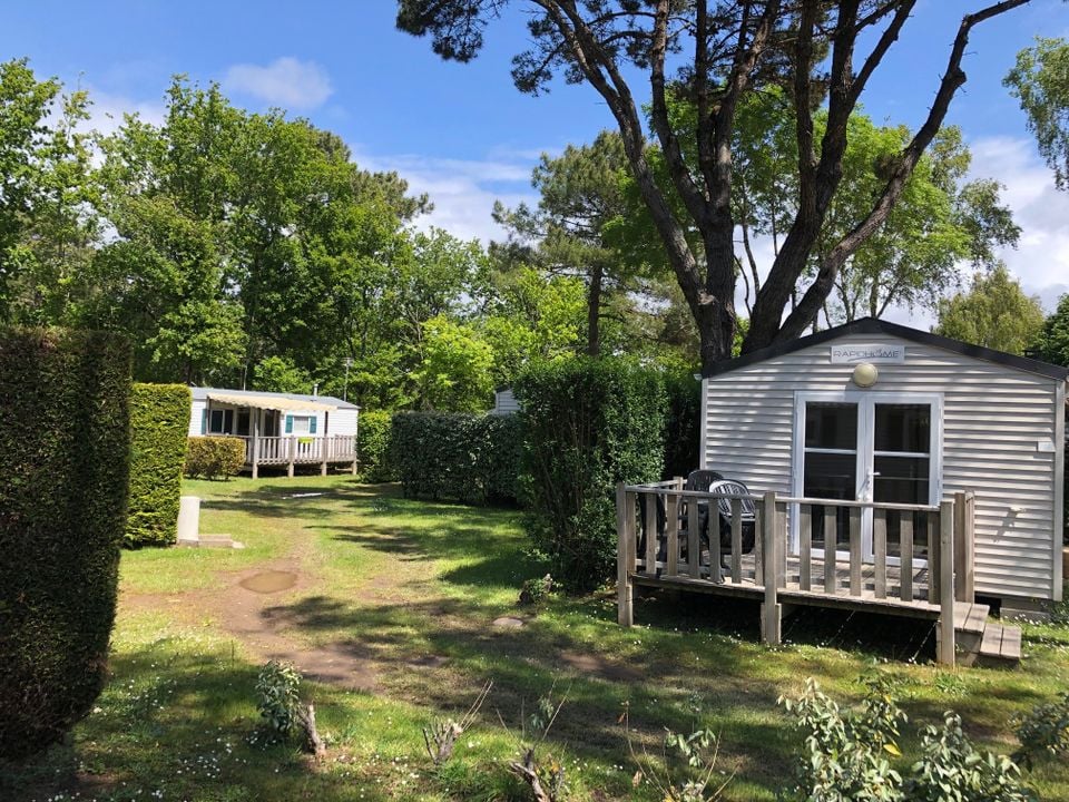 Les Bruyères - Mobil home - Mobilhome 2 personnes - CLASSIC 18-1 - maxi 2 adultes - TV, 1 chambre, environ 18m²