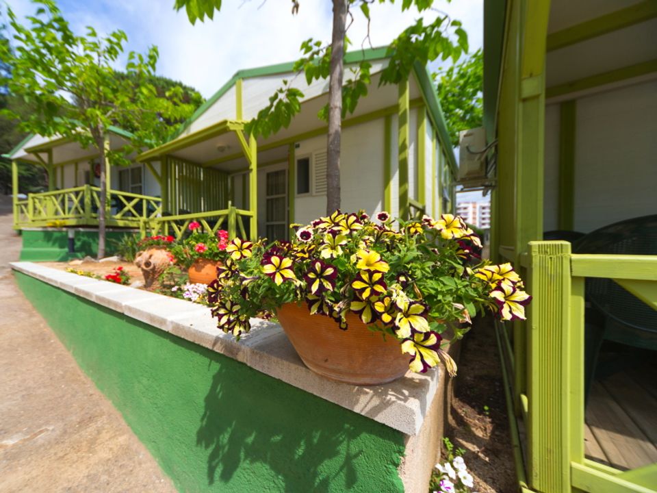 Bonavista - Bungalow - Bungalow 4 personnes - B