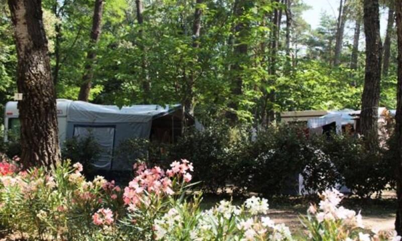 Le Ruou - Caravane - Emplacement Caravane 2 pers comprises 6 pers max 100m²