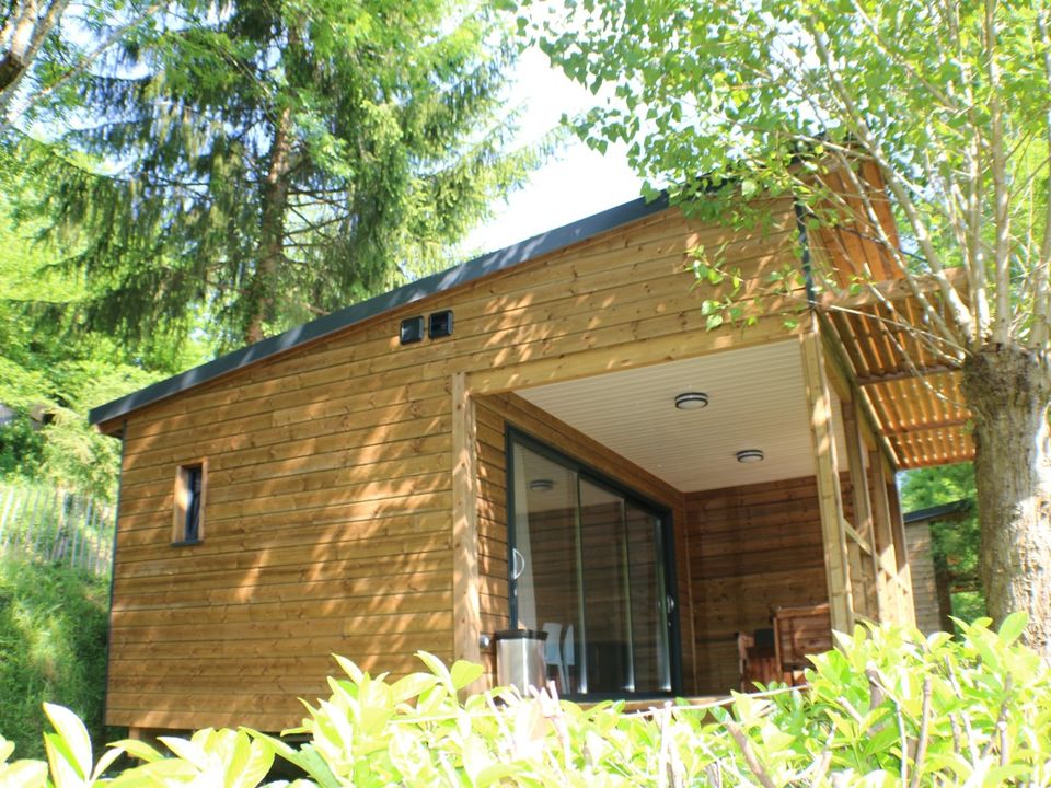 Le Moulin De Chaules - Châlet - Chalet 5 personnes - BOIS