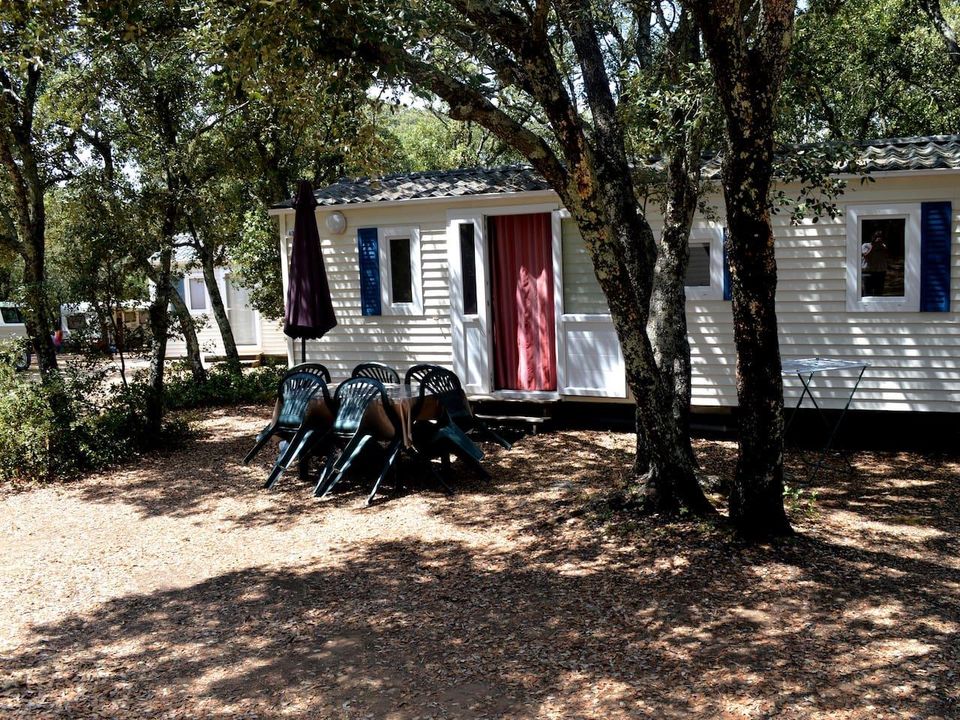 Les Chênes - Mobil home - Mobilhome 4 personnes - Confort Climatisé - 2 ch - 3 x 8m / Palmier et Olivier