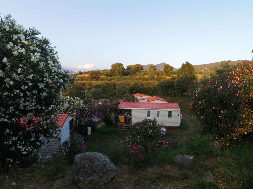 Tikiti - Mobil home - Mobilhome 5 personnes - IRM - Samedi