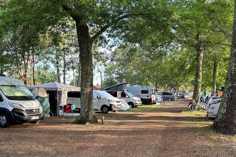 Camping Club Navarrosse Plage - MS Vacances - Emplacement - Emplacement avec électricité - Côté Lac