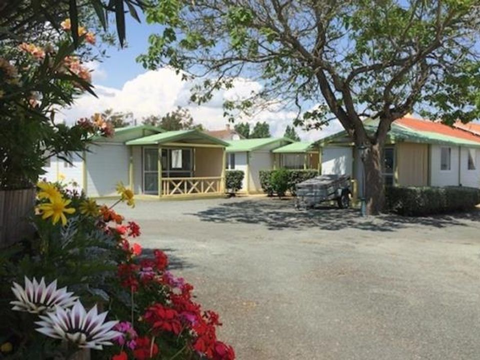 Les Tulipes - Châlet - Chalet 4 personnes - 25m² Tradi