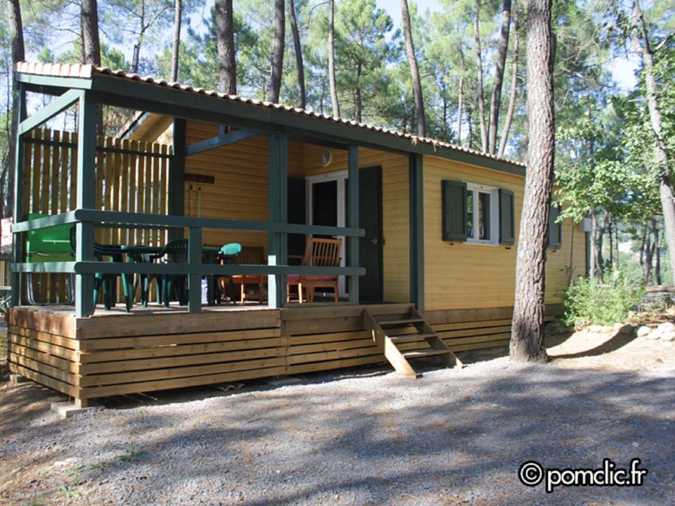 Bois Simonet - Châlet - Chalet 6 personnes - EDELWEISS