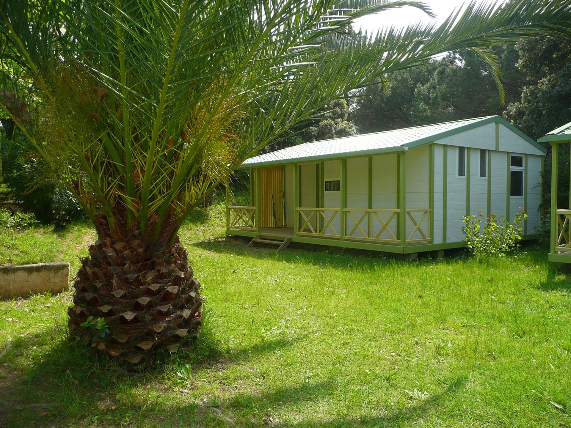 Le Libecciu - Mobil home - Mobil home 6 pers.