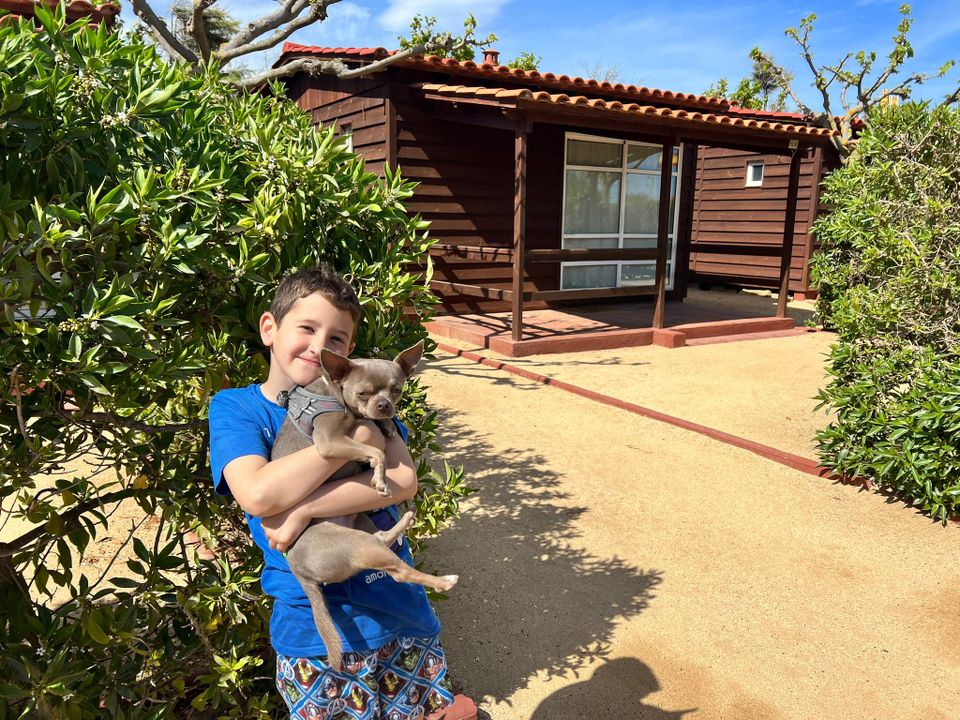 Els Pins - Bungalow - Bungalow 5 personnes - Comfort Garden