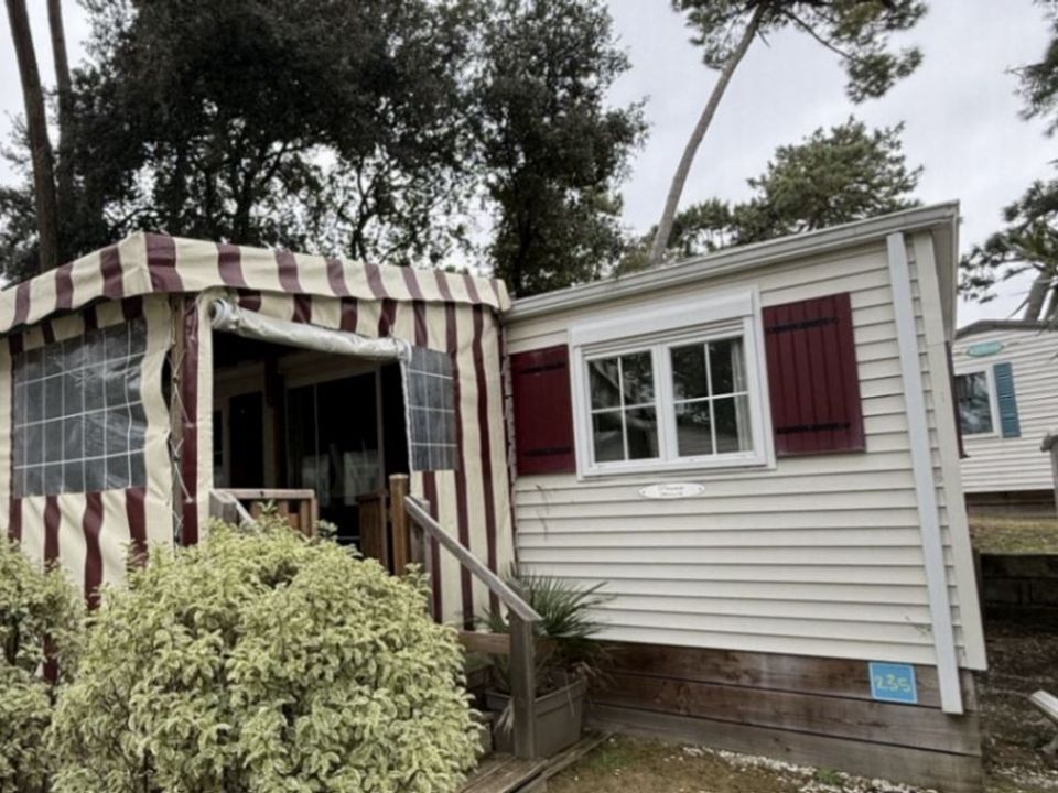 Domaine de la forêt de Suzac - Mobil home - Mobilhome 6 personnes - Elite 3 ch 6 personnes