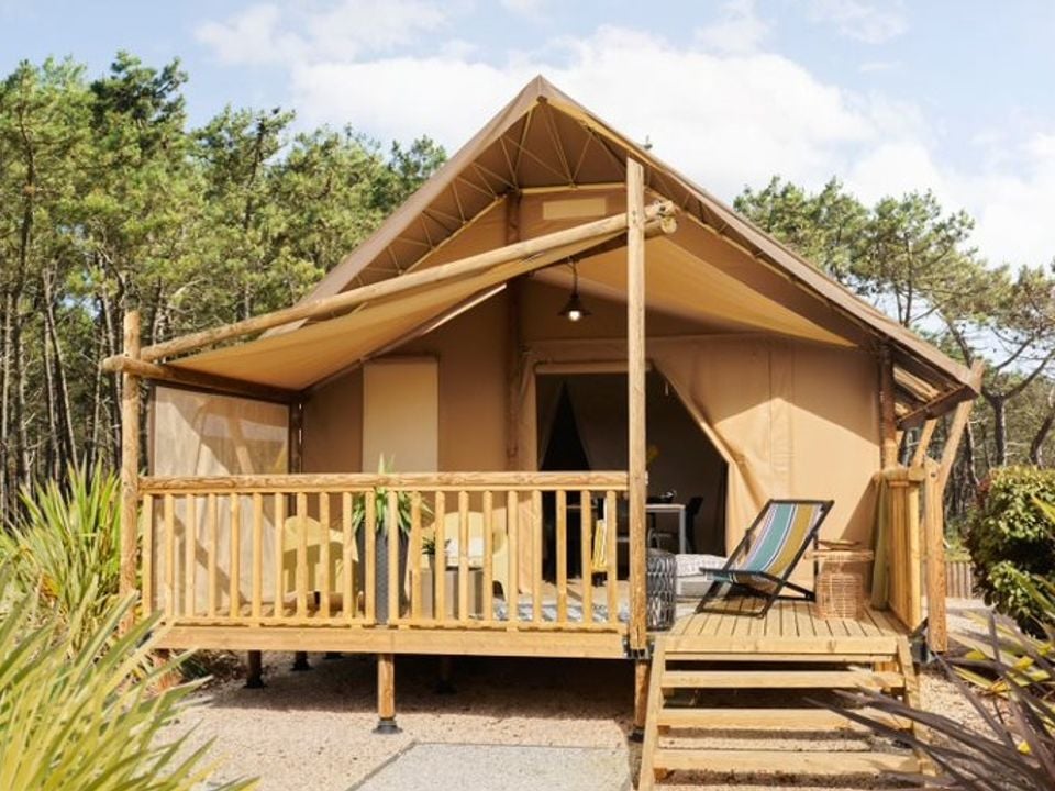 Domaine des Grands Pins - Emplacement - Tente 5 personnes - LODGE JUNGLE WOOD