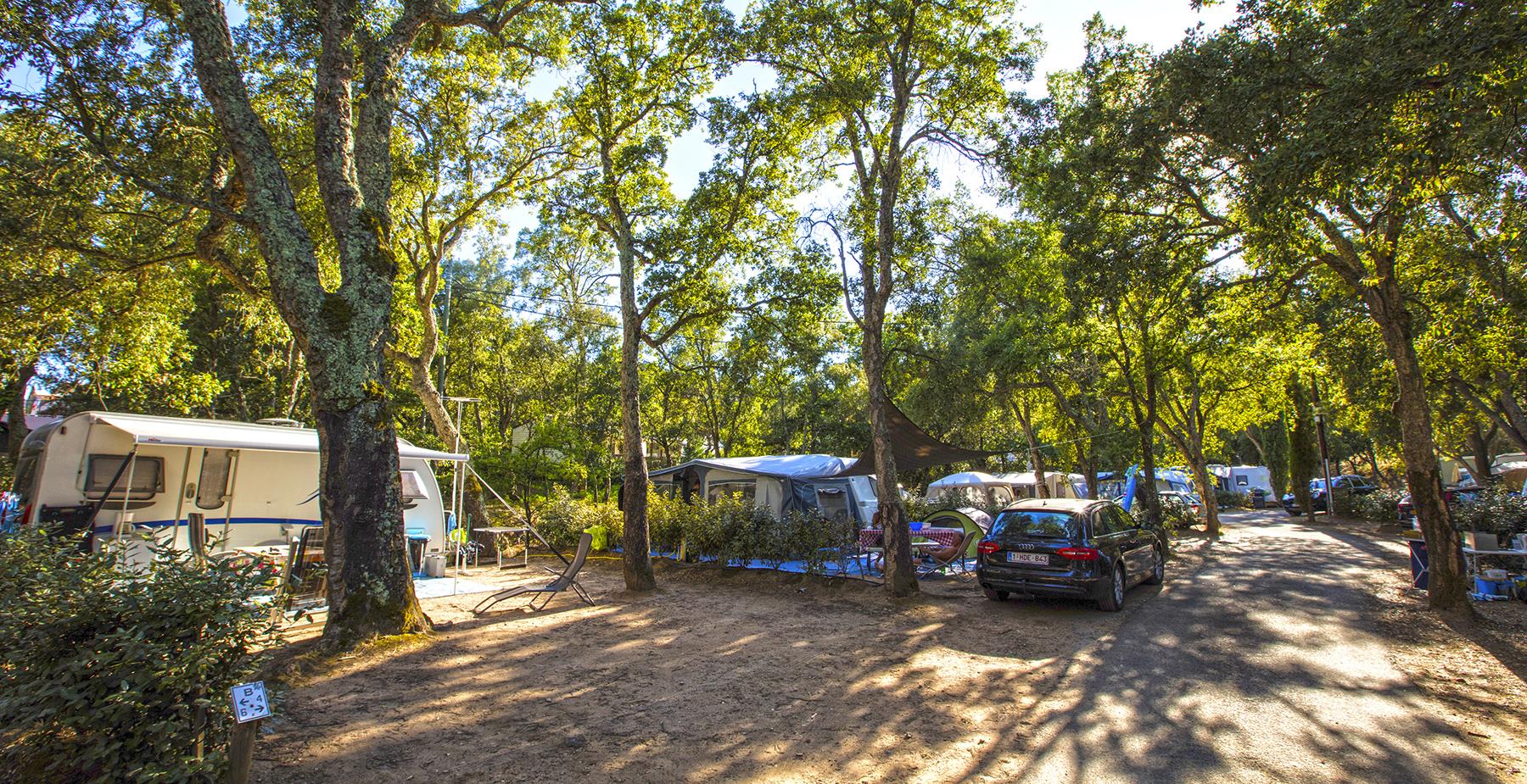 Domaine La Bergerie - Emplacement - Emplacement Classique