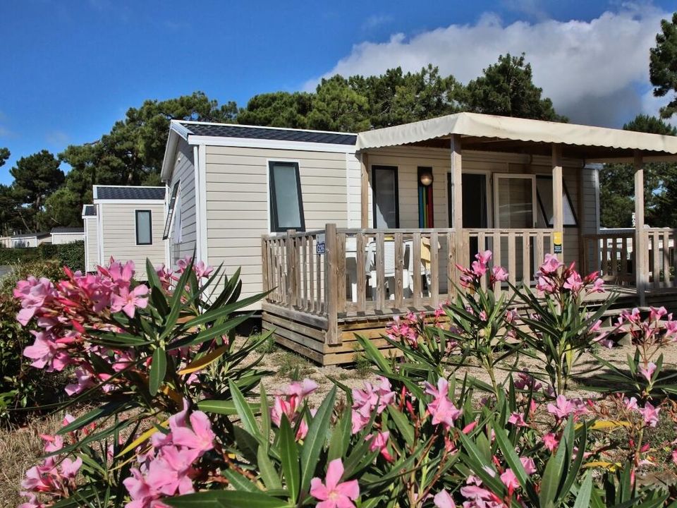 Les Préveils - Mobil home - Mobilhome 5 personnes - Bleu Lagon Duo Contemporain 3 Pièces 5 Personnes