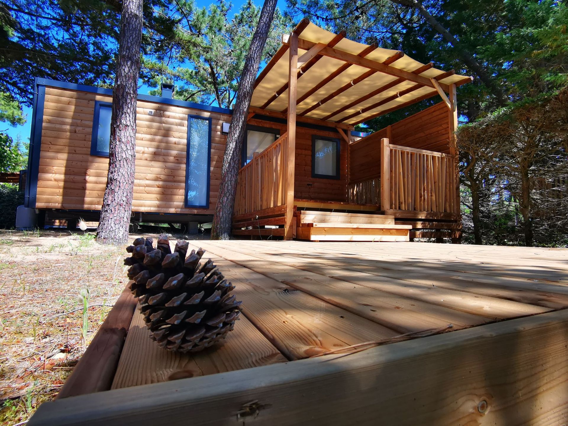 La Conge - Mobil home - MH Modulo DUO BOIS 2 chambres 29 m² avec terrasse bois couverte et terrasse bois solarium