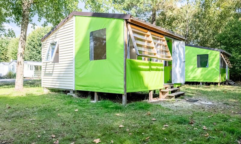 L'Arbre d'Or - Bungalow - Bungalow 3 Pièces 5 Personnes Sans Sanitaire