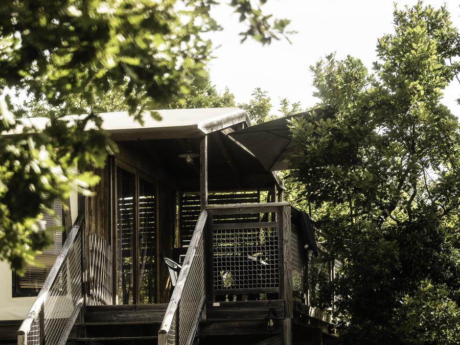 Domaine de la Faurie - Lodge - Lodge 4 personnes - Lodge Safari africaine