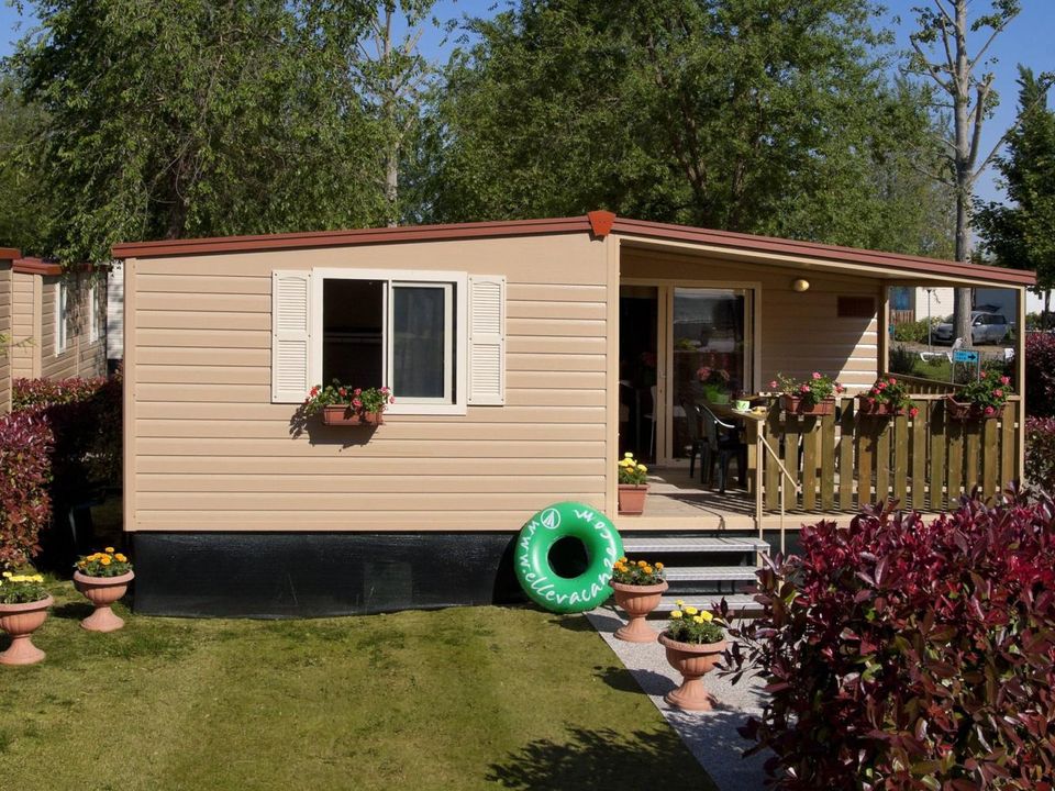 I Pini - Mobil home - Mobilhome 5 personnes - hu Stay Easy L Plus - Bungalow Standard