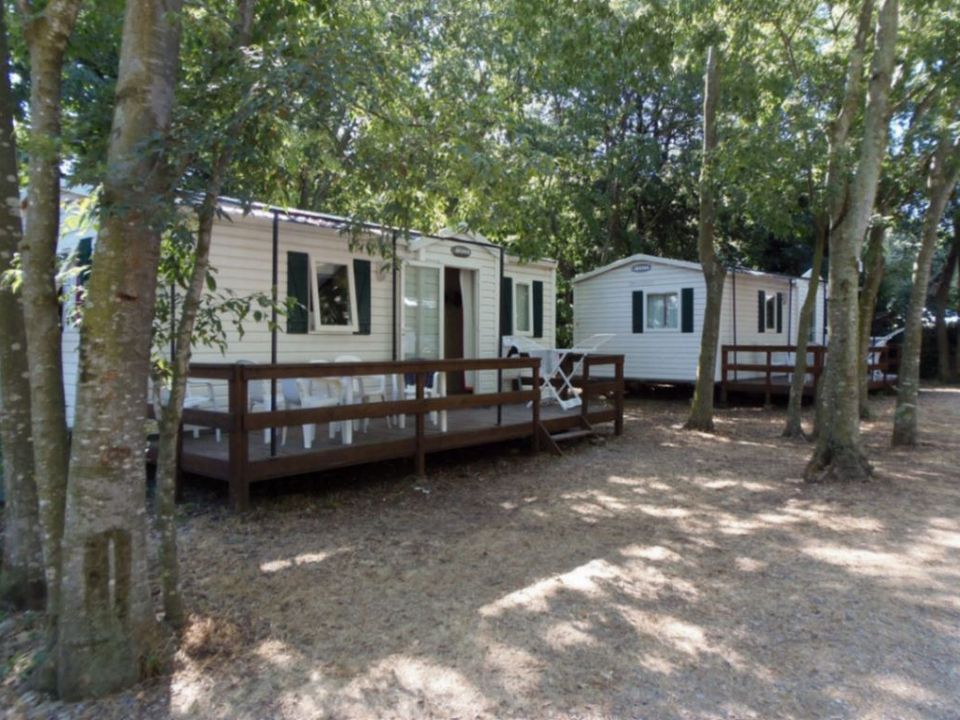 Les Micocouliers - Mobil home - Mobilhome 6 personnes - CLASSIQUE 2CH 4/6 PERS sans climatisation et sans télévision