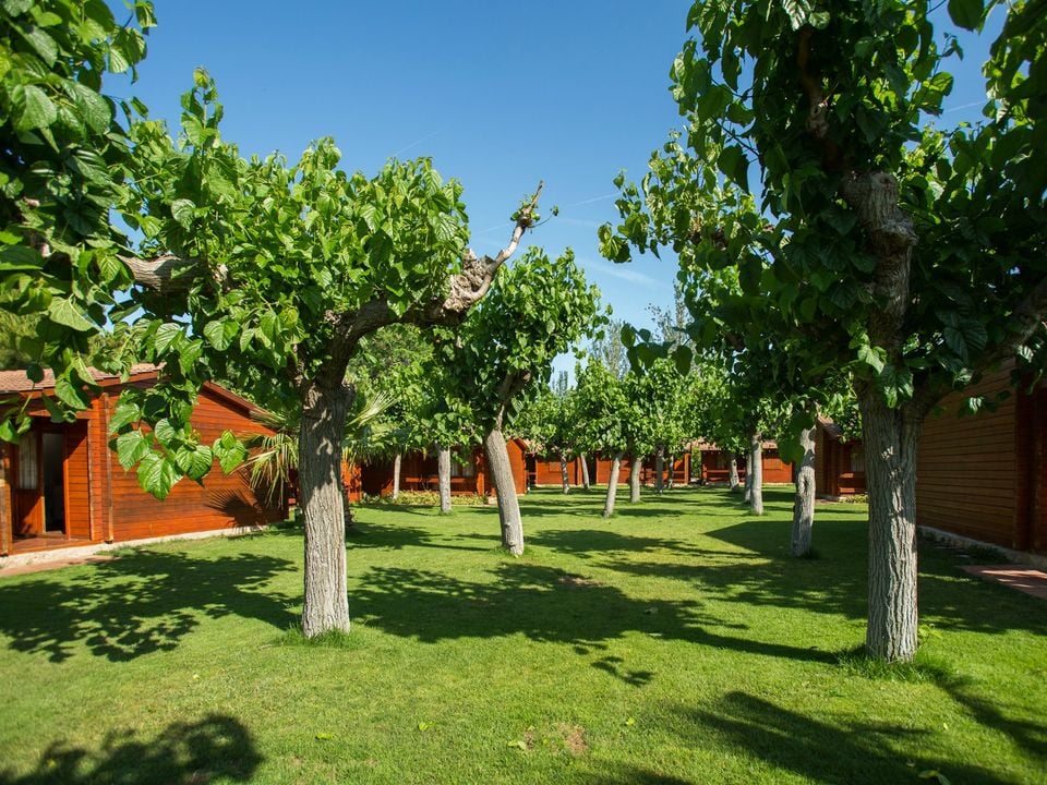 La Llosa - Bungalow - Bungalow 5 personnes - GREGAL