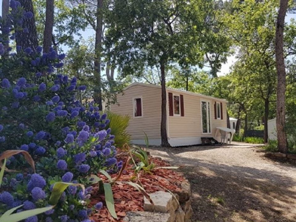 Le Devancon - Mobil home - Mobilhome 5 personnes - Confort IRM Domino 5 pers 2 Ch