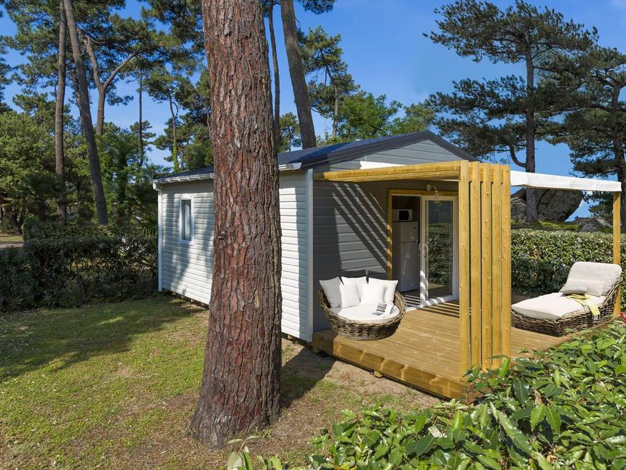 Saint Tro'Park - Châlet - Chalet 4 personnes - Chalet Confort 26.5m² (2 chambres) + terrasse couverte + TV