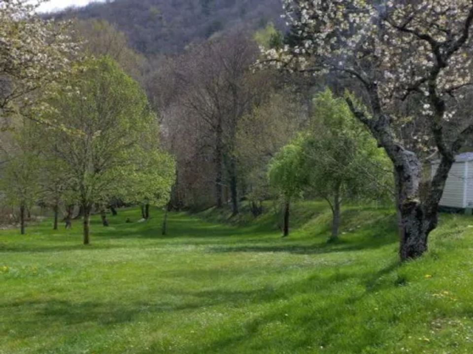 Le Pont du Tarn - Mobil home - Mobilhome 3 personnes - ASTRIA CONFORT