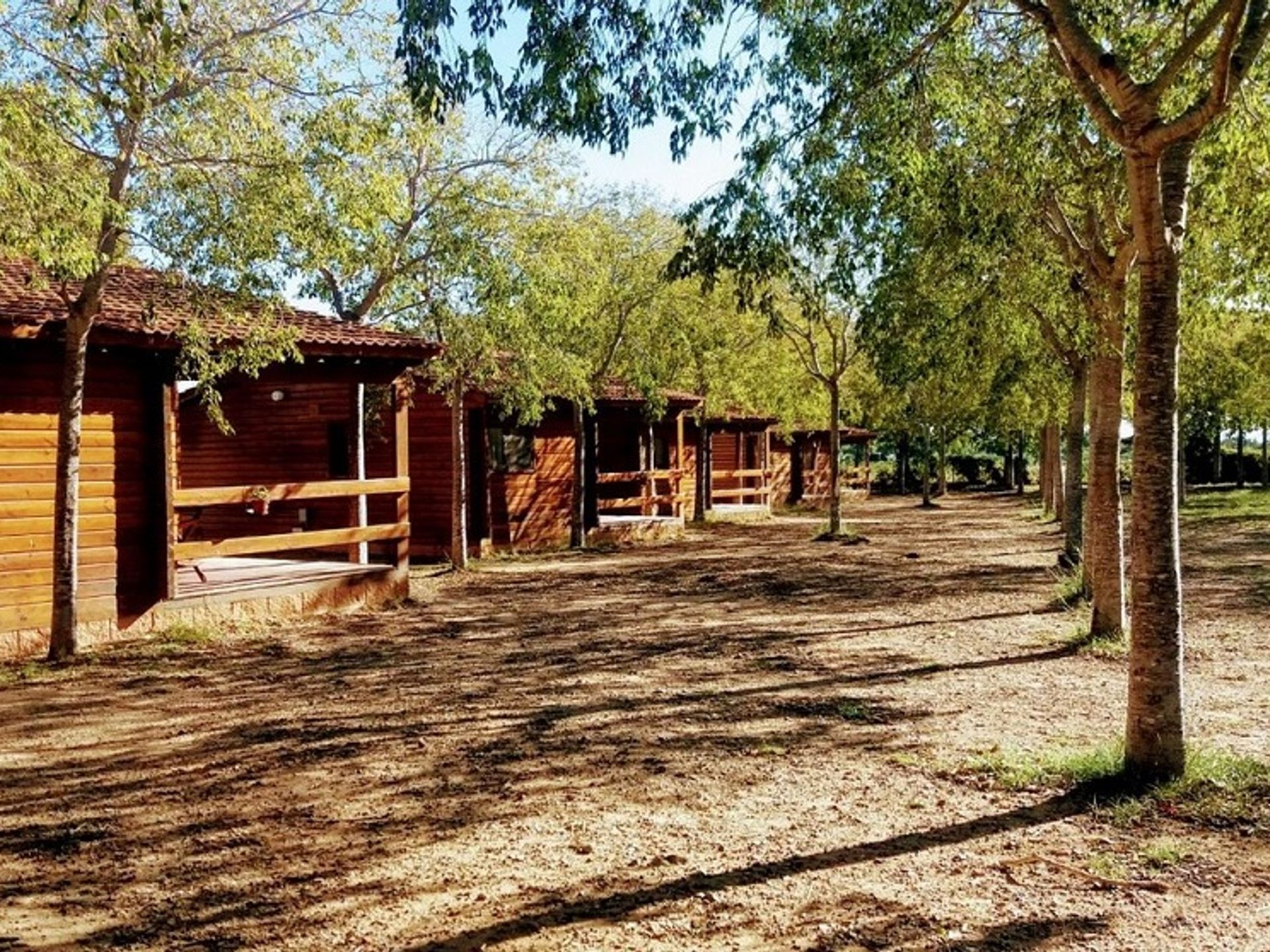 Ecocamp Vinyols - Bungalow - MADERA