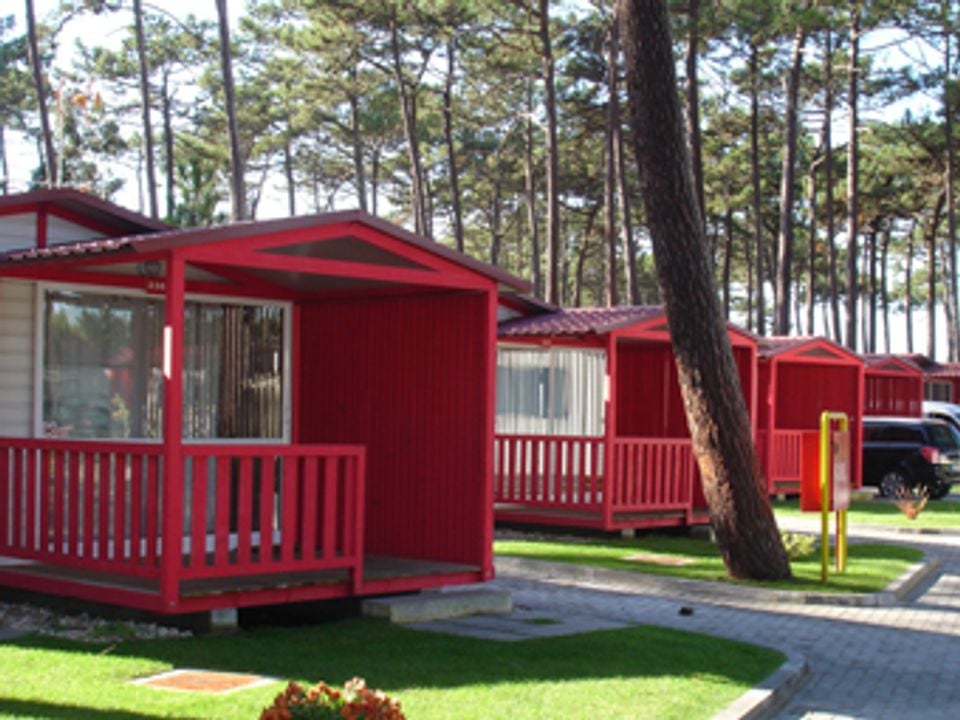 Sao Pedro de Moel - Châlet - Chalet 5 personnes - MEDITERRANEO