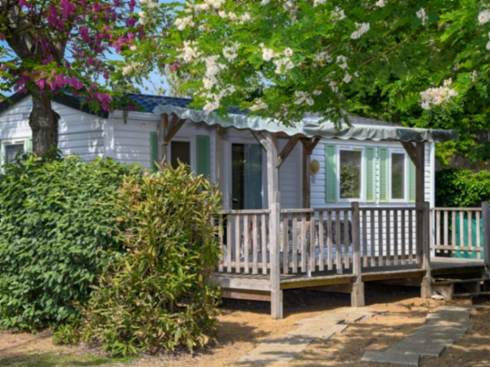 La Pomme de Pin - Mobil home - Mobilhome 4 personnes - EDEN