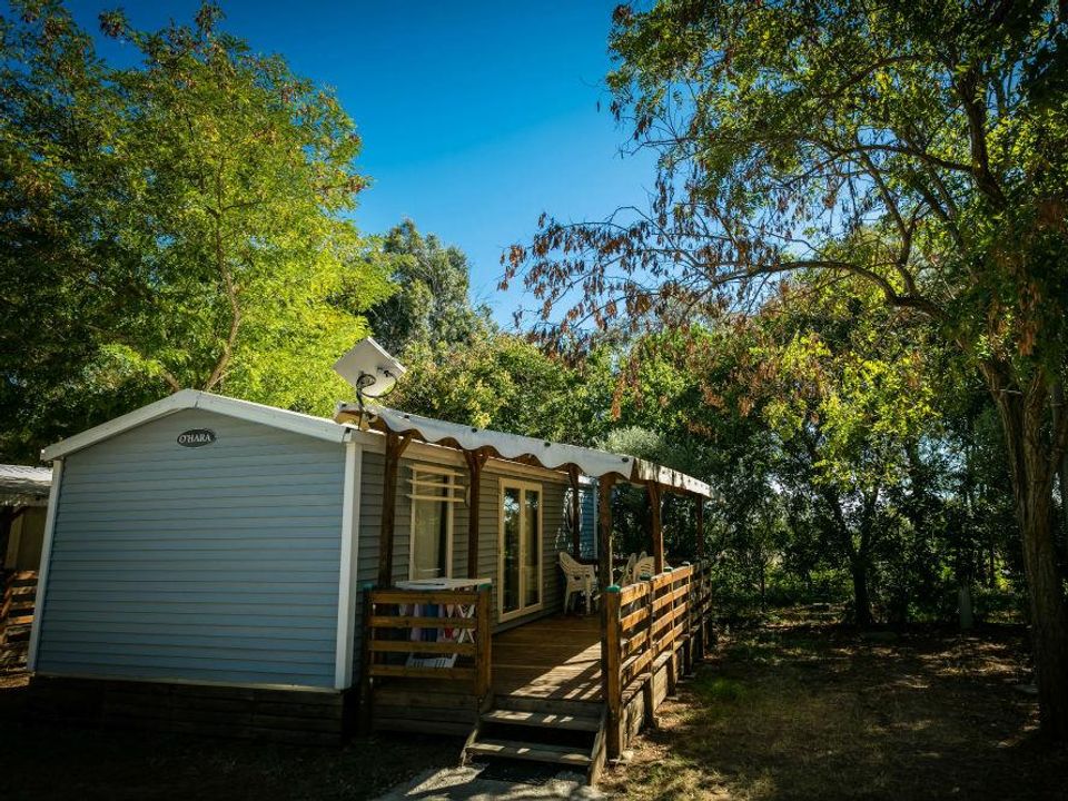 Le Mas de Mourgues - Mobil home - Mobilhome 6 personnes - LAVANDE CONFORT+