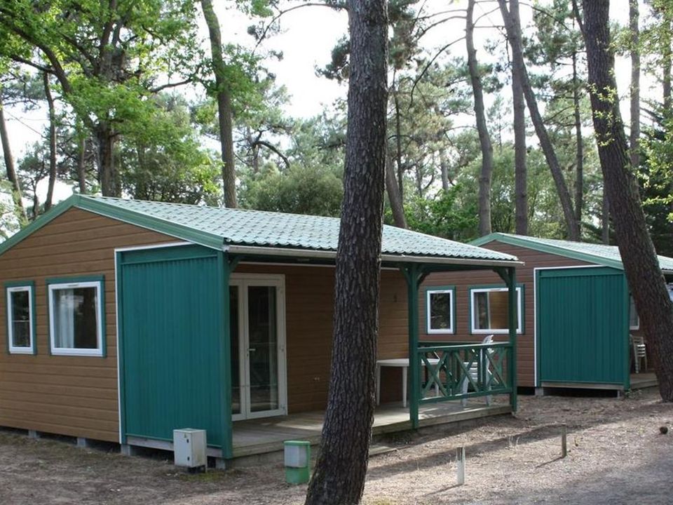 Le Chenal - Châlet - Chalet 4 personnes - Chalet - 17m² - 2 chambres