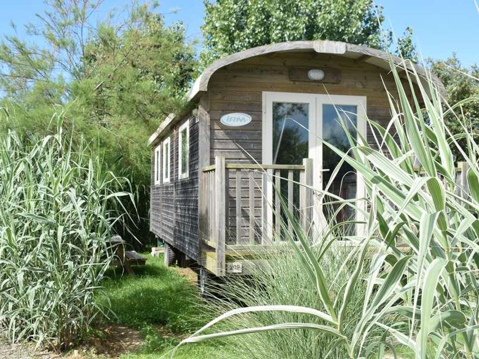 Le Petit Paris - Mobil home - Hébergement 4 personnes - Standard