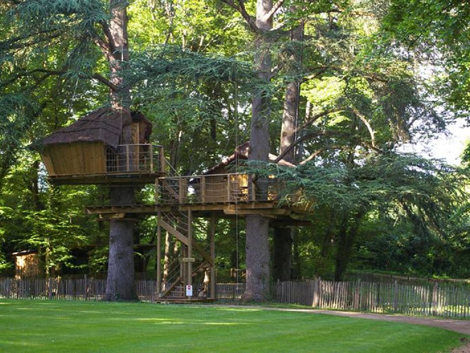 Parc de la Belle - Mobil home - Hébergement 6 personnes - Cabane dans les arbres - Ouistitis