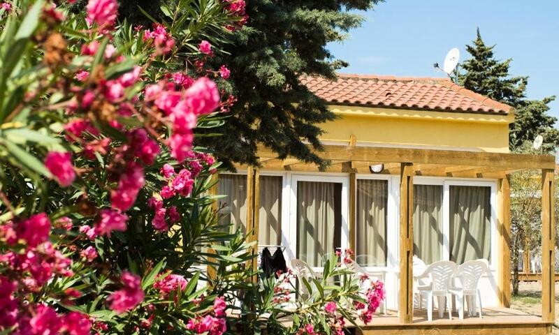 Les Abricotiers - Mobil home - Gîte PMR 3 Pièces 4/6 Personnes + TV