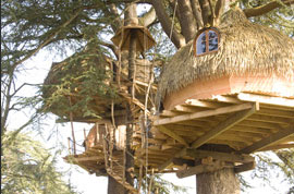 cabane dans les arbres