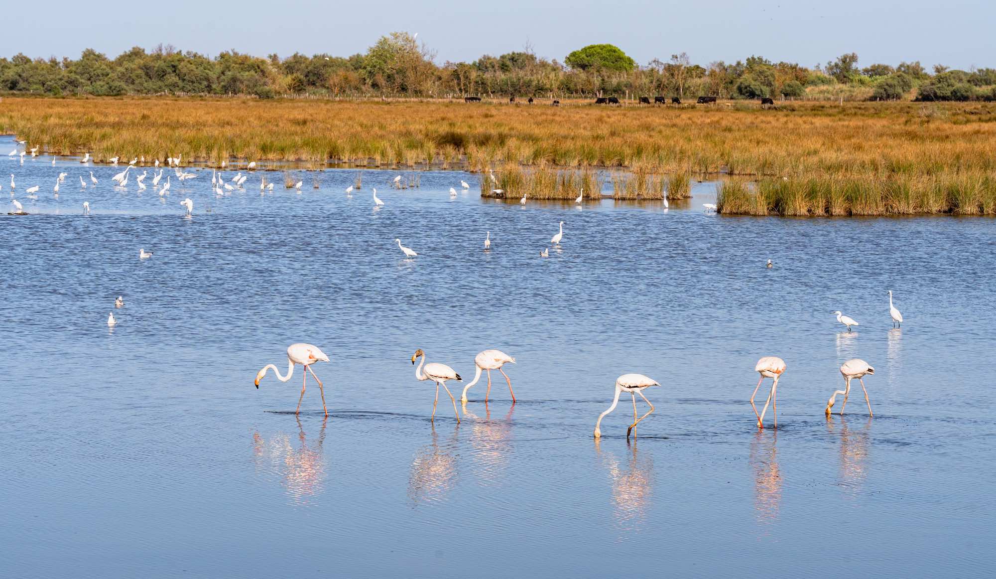 Saviez‑vous que les villages perchés provençaux étaient pensés pour résister aux invasions… et aux moustiques ?  -  visuel 1/1