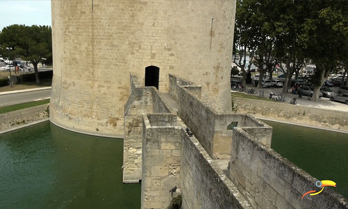 Que faire à Aigues Mortes en vacances ?  -  visuel 1/1