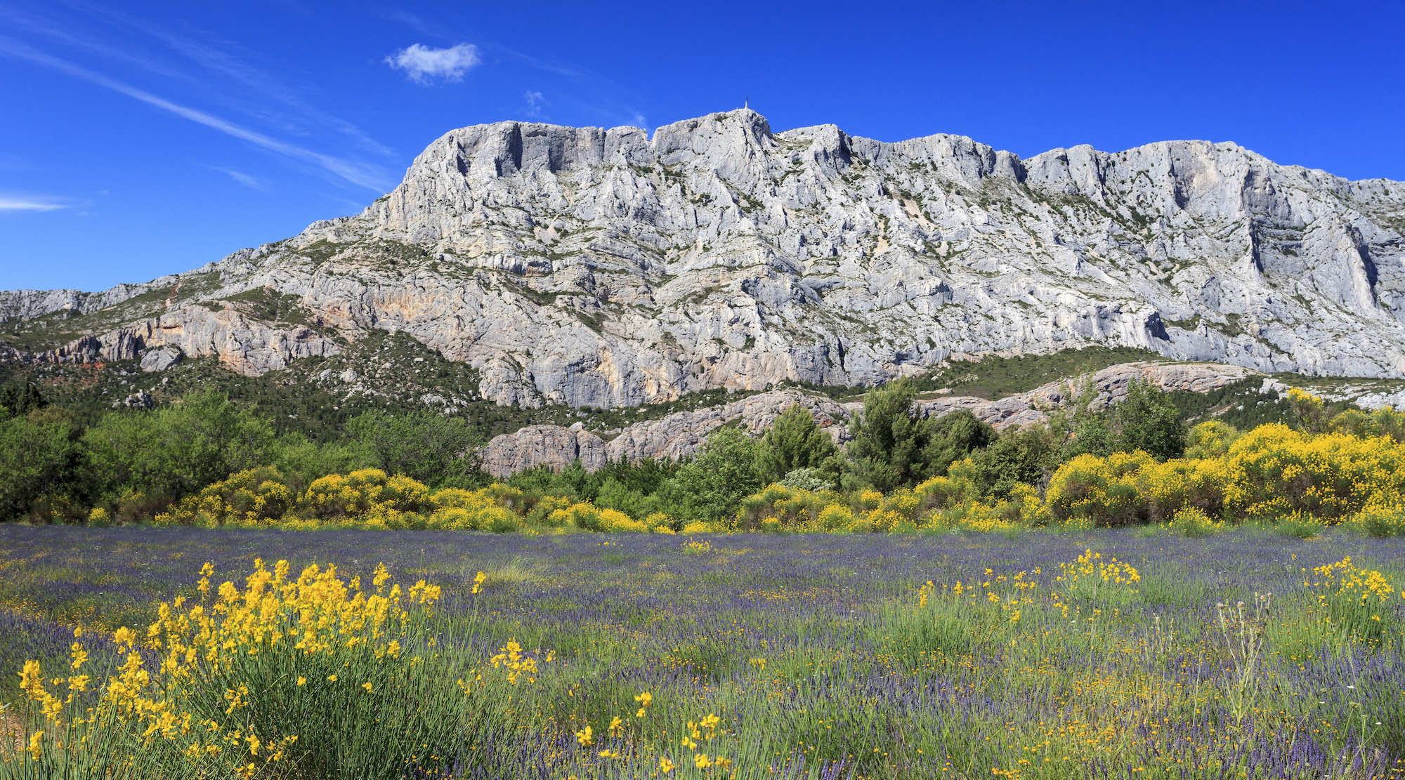 Visiter Aix-en-Provence en 3 jours : les incontournables à ne pas manquer  -  visuel 1/1