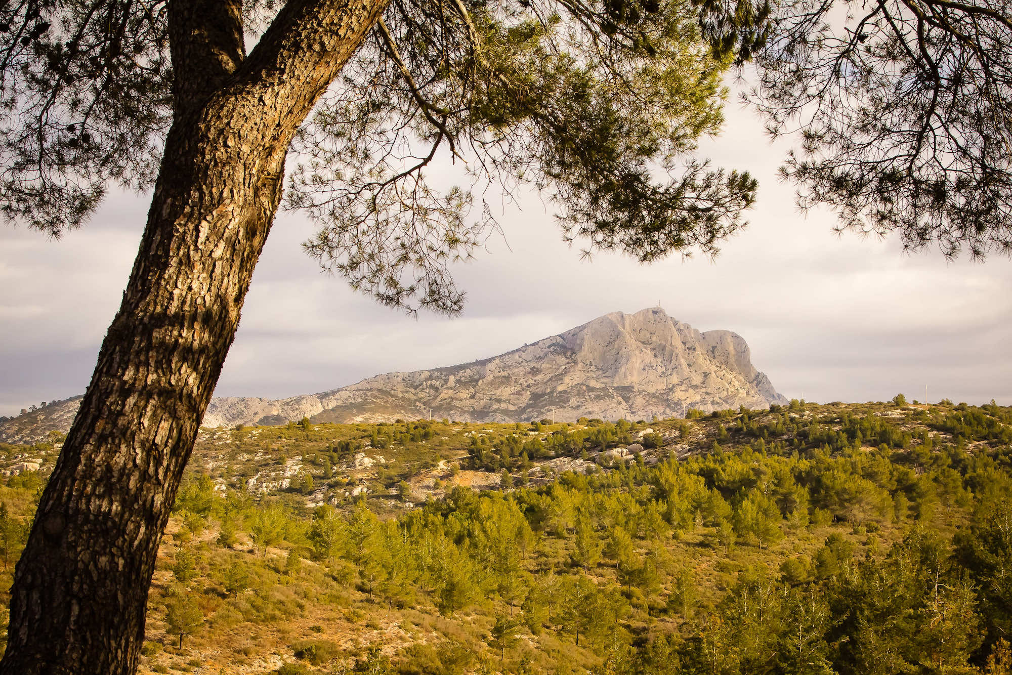 Quand la réalité devient plus belle que le tableau. Où admirer ce paysage en Provence ?  -  visuel 1/1