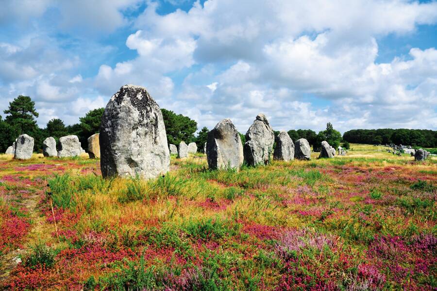 Séjour luxe et plein air en Bretagne Sud : 8 jours à Carnac  -  visuel 1/1
