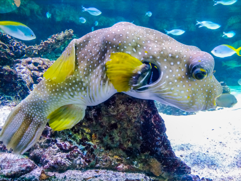 Que faire à La Rochelle en vacances ?  -  visuel 1/1