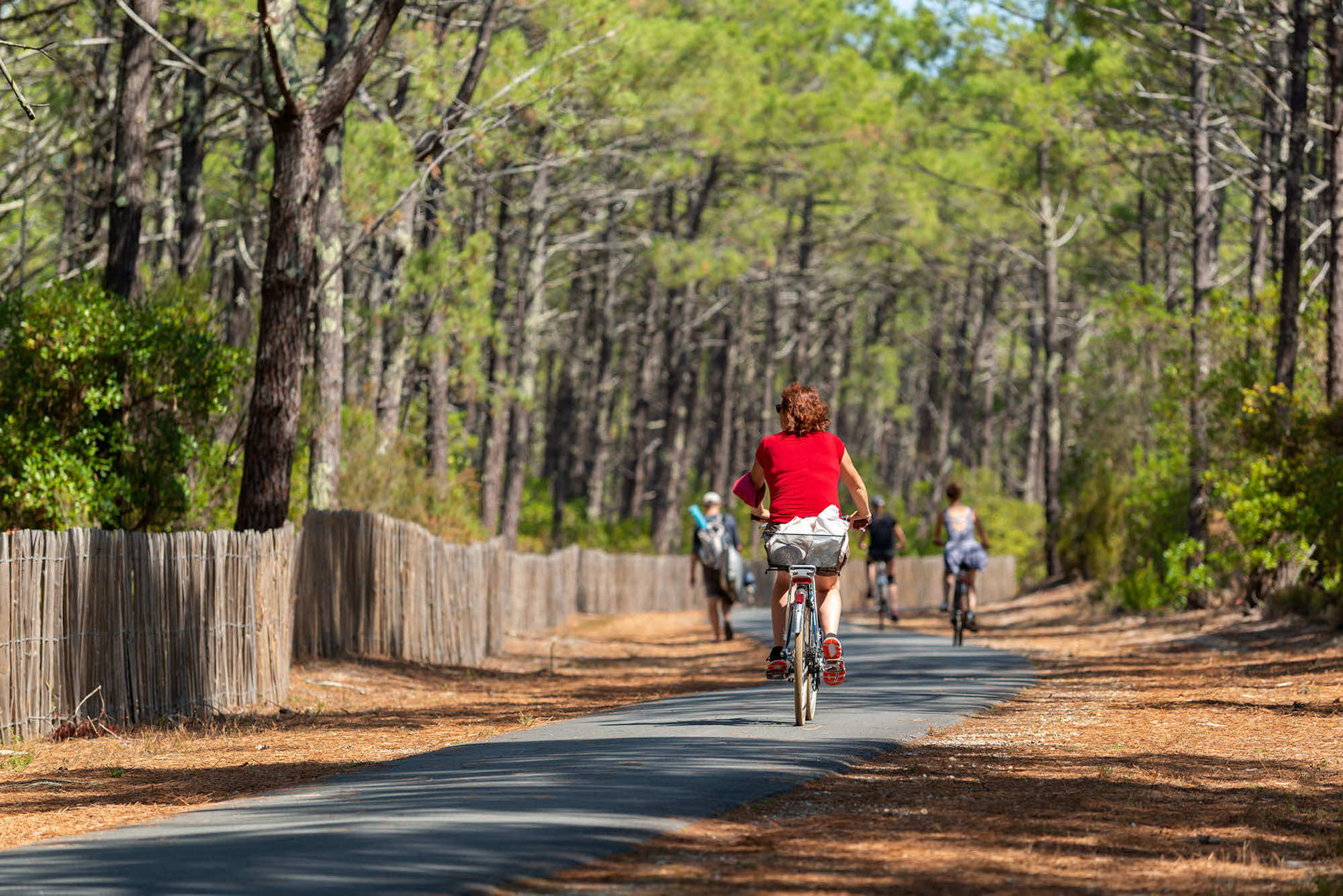 Avec son microclimat exceptionnel, et à seulement 3 heures de Paris en train, ce paradis est à (re)découvrir de toute urgence  -  visuel 1/1