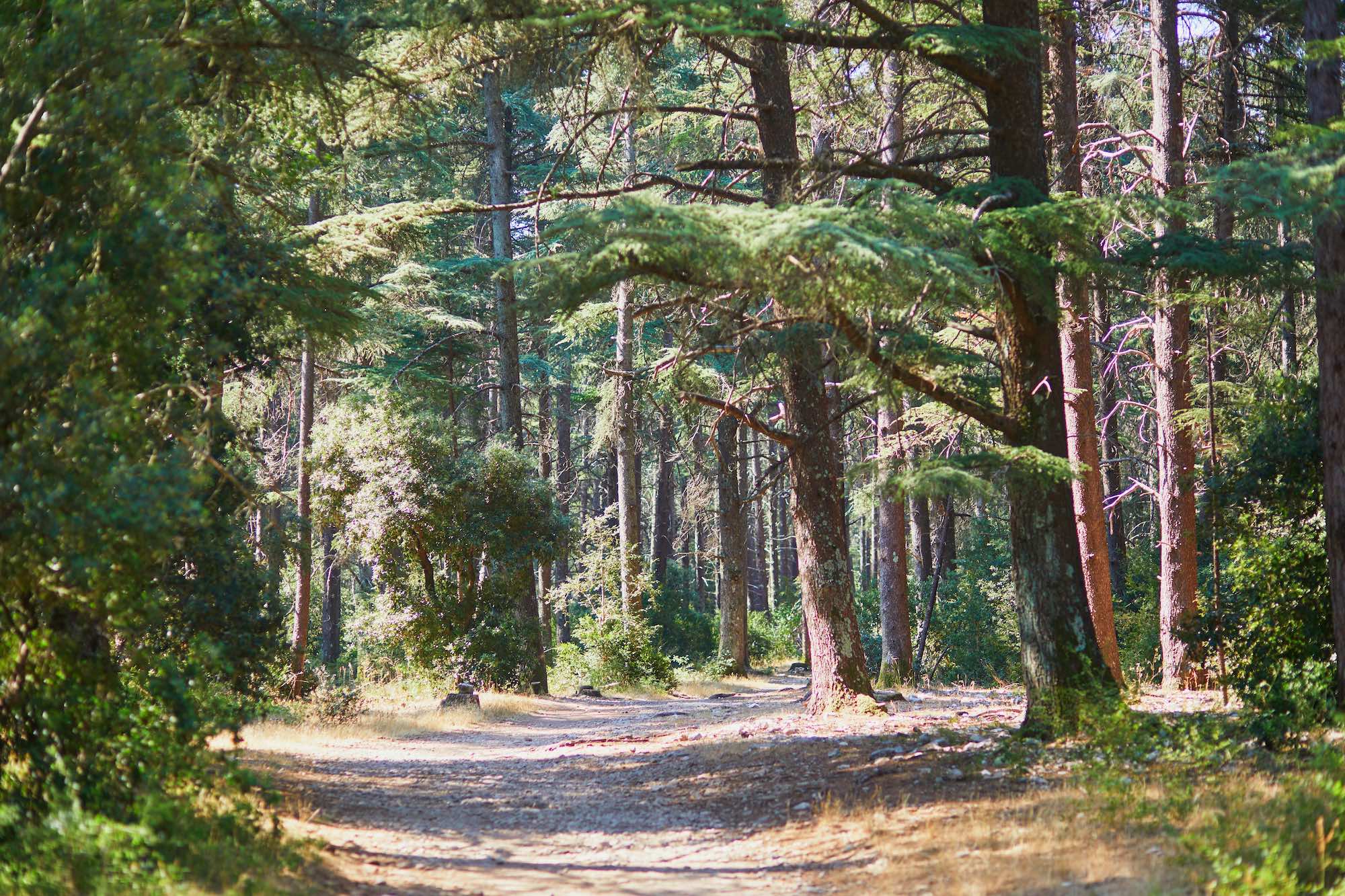 5 randonnées incontournables du Luberon pour plonger au cœur de paysages d’exception  -  visuel 1/1