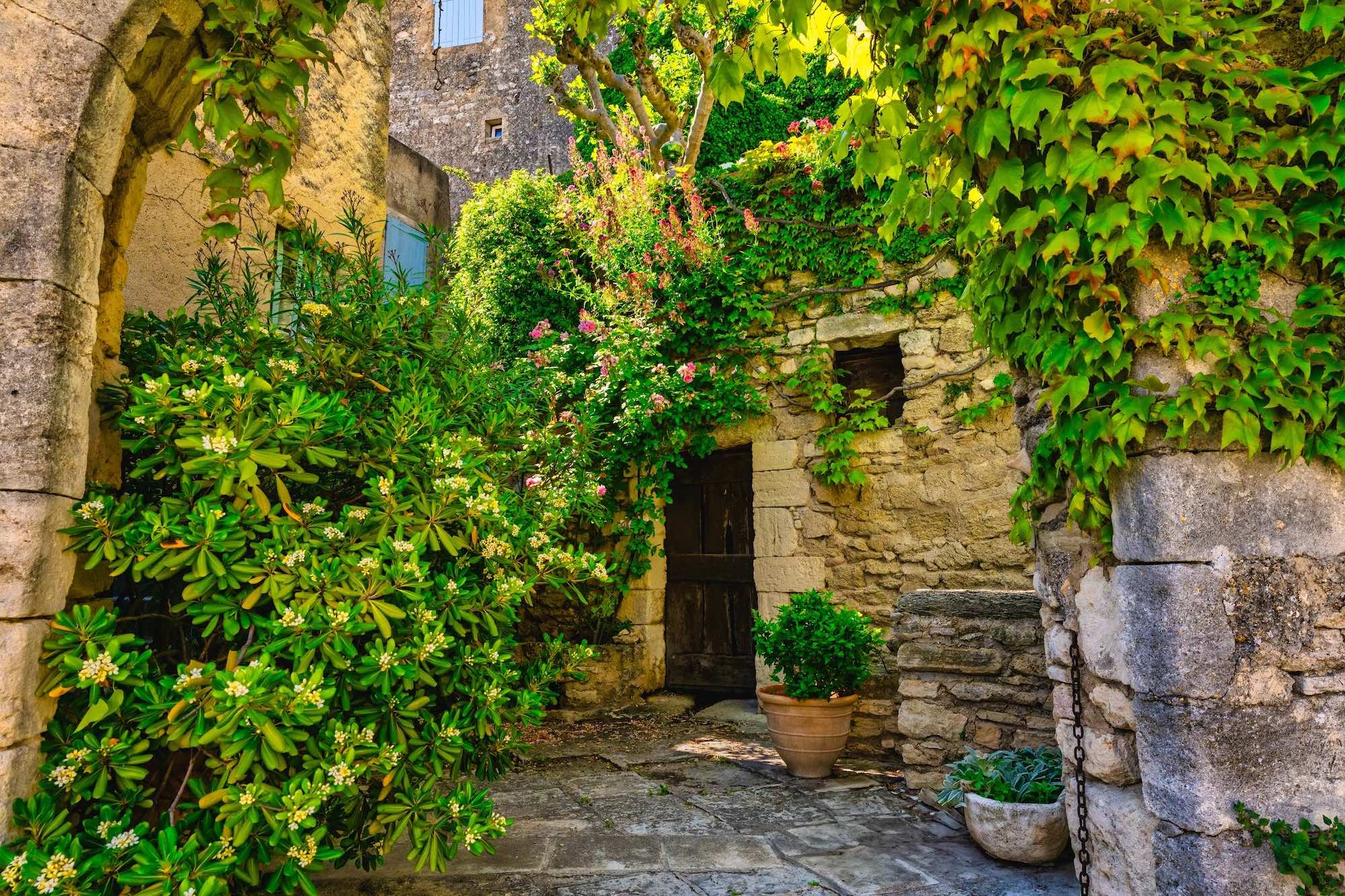 Où croiser des stars en vacances dans le Sud de la France ?  -  visuel 1/1