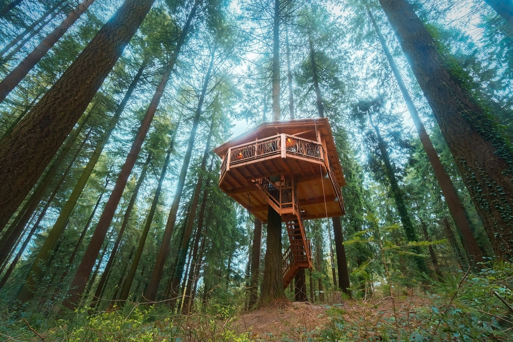 Le Mag Camping - 10 Cabanes dans les arbres de rêve