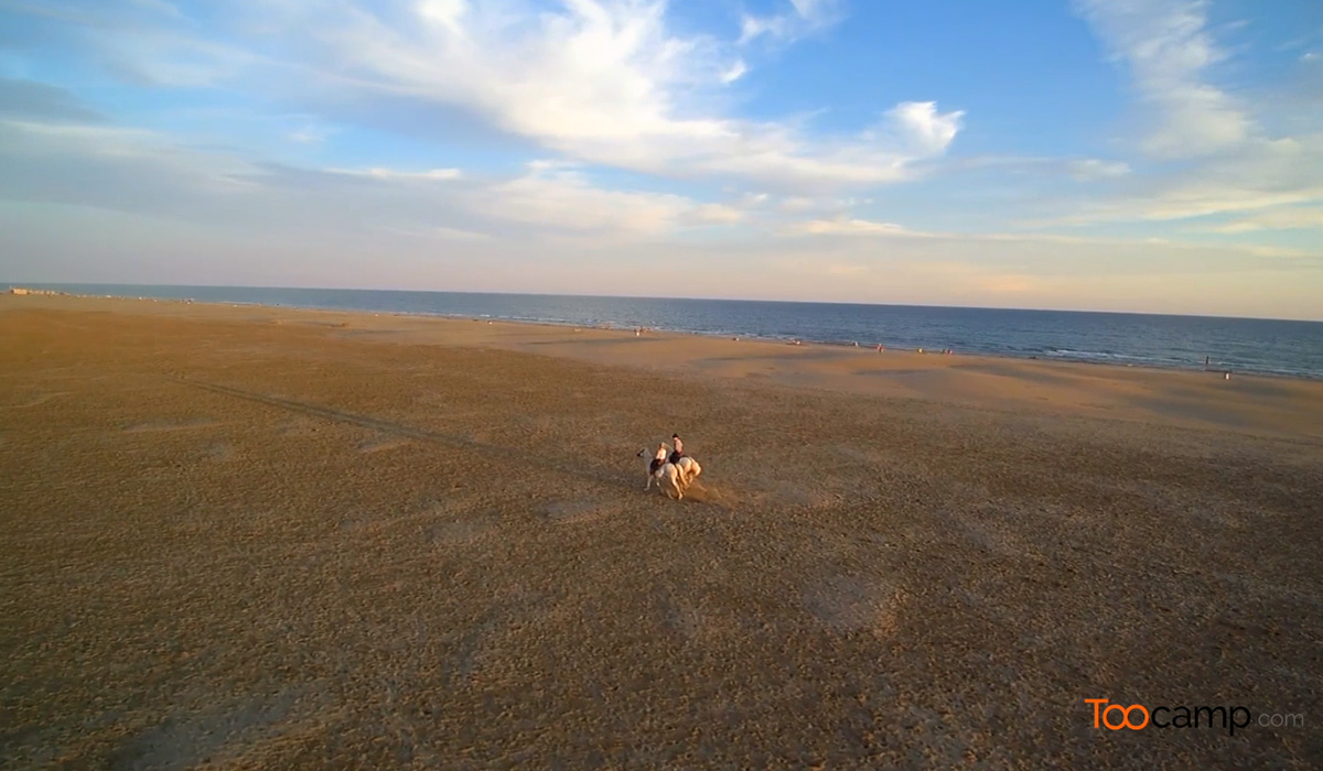 Quelques jours en Camargue  -  visuel 1/1
