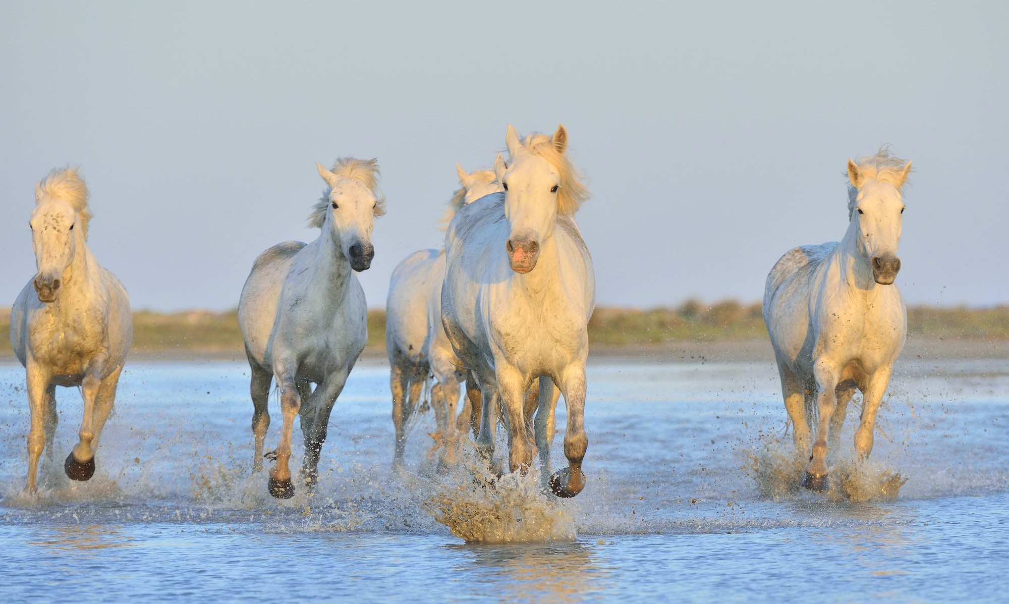Surnommée la Petite Rome de Gaule, cette ville de Provence est LA destination à découvrir cet été si l’Italie vous manque  -  visuel 1/1