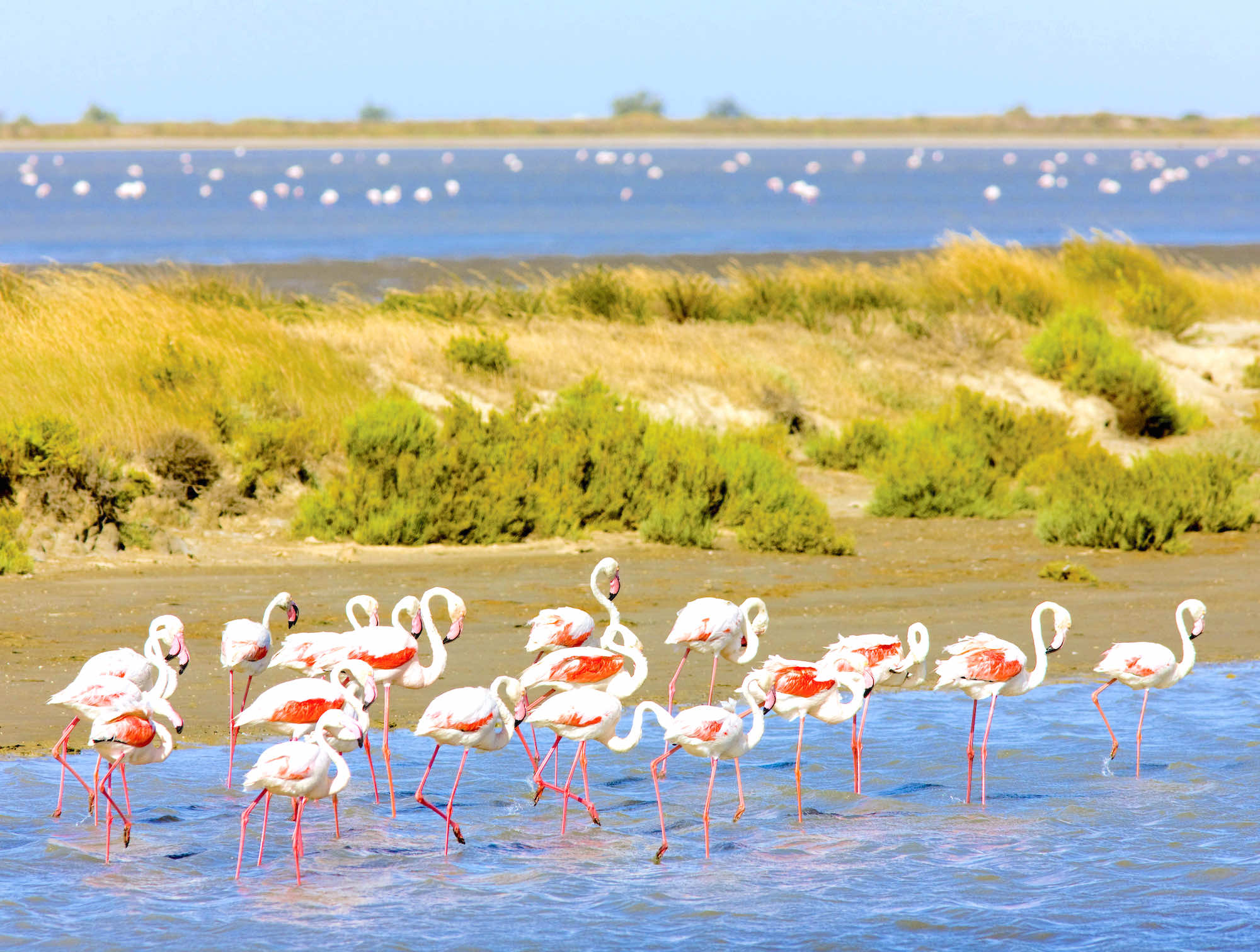 La Camargue autrement  -  visuel 1/1